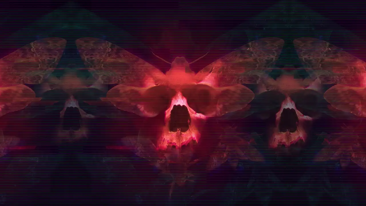 Transient Art